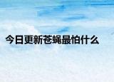 今日更新苍蝇最怕什么