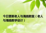 今日更新老人与海鸥教案（老人与海鸥教学设计）