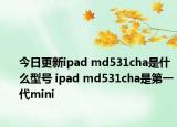 今日更新ipad md531cha是什么型号 ipad md531cha是第一代mini