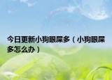 今日更新小狗眼屎多（小狗眼屎多怎么办）