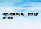 微信语音变声男变女（微信语音怎么变声）