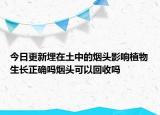 今日更新埋在土中的烟头影响植物生长正确吗烟头可以回收吗