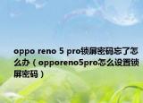 oppo reno 5 pro锁屏密码忘了怎么办（opporeno5pro怎么设置锁屏密码）