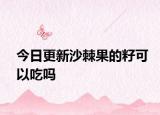 今日更新沙棘果的籽可以吃吗