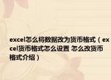excel怎么将数据改为货币格式（excel货币格式怎么设置 怎么改货币格式介绍）