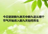 今日更新数九寒天中数九是从哪个节气开始进入数九天如何养生