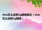 vivo怎么设置5g网络模式（vivo怎么设置5g网络）