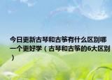 今日更新古琴和古筝有什么区别哪一个更好学（古琴和古筝的6大区别）