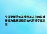 今日更新茶仙茶神别茶人指的是谁被誉为我国茶圣的古代茶叶专家是谁
