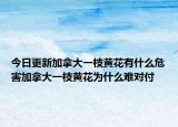 今日更新加拿大一枝黄花有什么危害加拿大一枝黄花为什么难对付