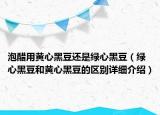 泡醋用黄心黑豆还是绿心黑豆（绿心黑豆和黄心黑豆的区别详细介绍）