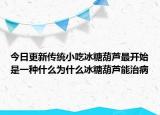 今日更新传统小吃冰糖葫芦最开始是一种什么为什么冰糖葫芦能治病