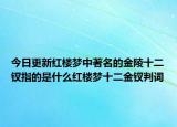今日更新红楼梦中著名的金陵十二钗指的是什么红楼梦十二金钗判词