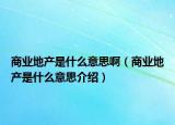 商业地产是什么意思啊（商业地产是什么意思介绍）