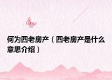 何为四老房产（四老房产是什么意思介绍）