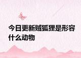 今日更新贼狐狸是形容什么动物