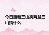 今日更新三山夹两盆三山指什么