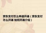 京东支付怎么申请开通（京东支付怎么开通 如何开通介绍）