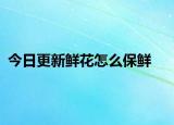今日更新鲜花怎么保鲜