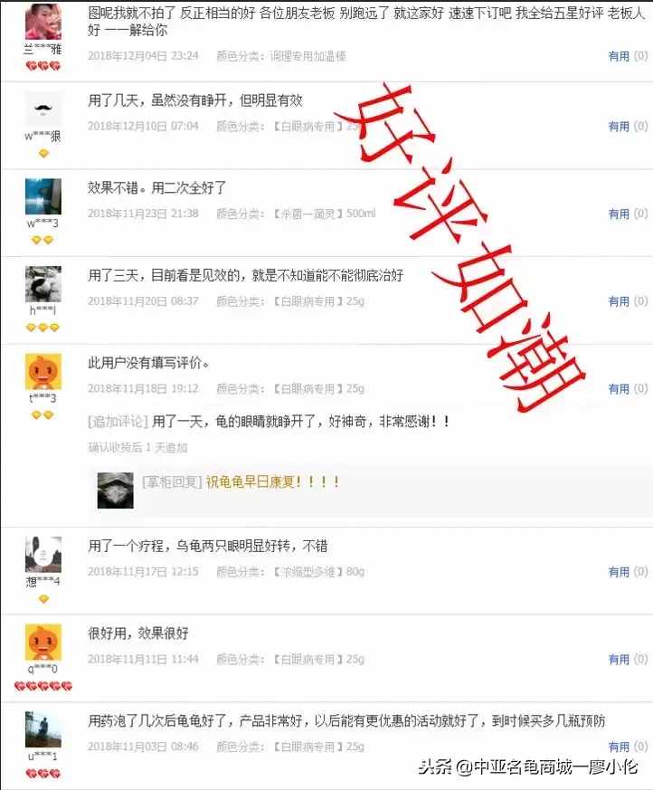乌龟头号杀手一白眼病的预防及治疗