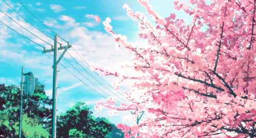 记住：“花开了”不是 flowers are open！