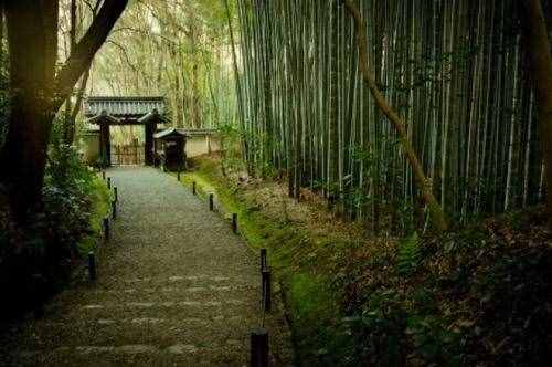 隐士常建：人生最宝贵的财富，是能慢下来好好看世界