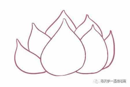 每天学一幅简笔画--荷花简笔画的画法步骤