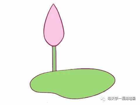 每天学一幅简笔画--荷花简笔画的画法步骤