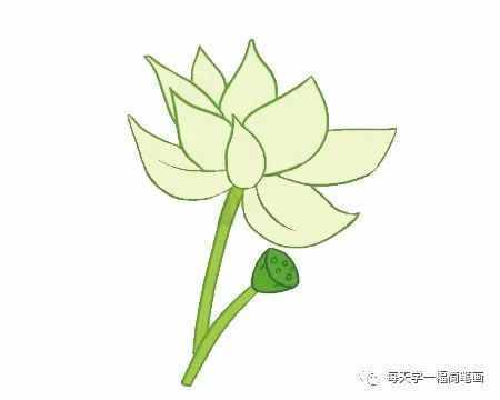 每天学一幅简笔画--荷花简笔画的画法步骤