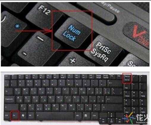 花火常识：笔记本键盘按下字母变数字怎么办？