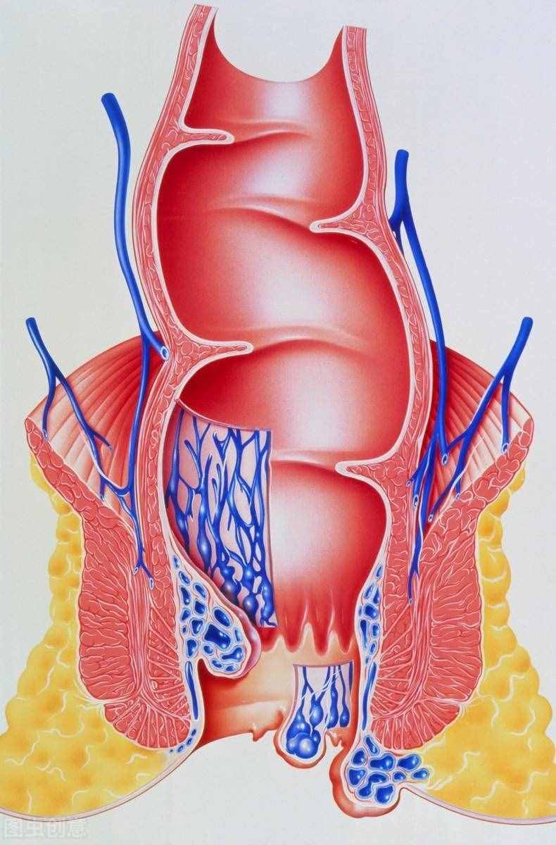 痔疮出现肉球疼痛难忍，如何缓解消除？本文从2方面全面总结