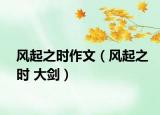 风起之时作文（风起之时 大剑）