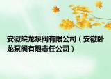 安徽皖龙泵阀有限公司（安徽卧龙泵阀有限责任公司）