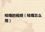 哇嘎的视频（哇嘎怎么用）