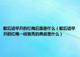 歇后语早开的红梅后面是什么（歇后语早开的红梅一枝独秀的典故是什么）