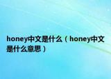 honey中文是什么（honey中文是什么意思）