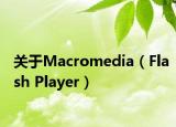 关于Macromedia（Flash Player）