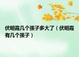 伏明霞几个孩子多大了（伏明霞有几个孩子）
