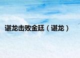 谌龙击败金廷（谌龙）
