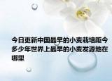 今日更新中国最早的小麦栽培距今多少年世界上最早的小麦发源地在哪里
