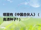 哪里有《中国合伙人》（高清种子?）