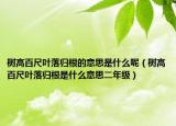 树高百尺叶落归根的意思是什么呢（树高百尺叶落归根是什么意思二年级）
