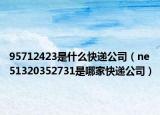 95712423是什么快递公司（ne51320352731是哪家快递公司）