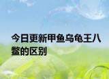 今日更新甲鱼乌龟王八鳖的区别