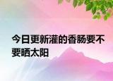 今日更新灌的香肠要不要晒太阳