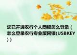 您已开通农行个人网银怎么登录（怎么登录农行专业版网银(USBKEY)）