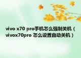 vivo x70 pro手机怎么强制关机（vivox70pro 怎么设置自动关机）