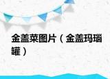 金盖菜图片（金盖玛瑙罐）