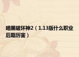 暗黑破坏神2（1.13版什么职业后期厉害）