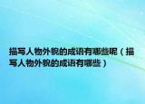 描写人物外貌的成语有哪些呢（描写人物外貌的成语有哪些）